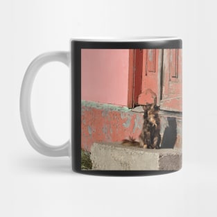 Petit Chat d'Argentine Mug